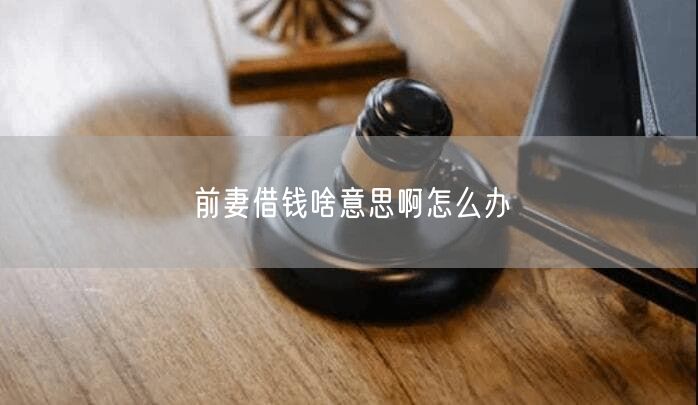前妻借钱啥意思啊怎么办