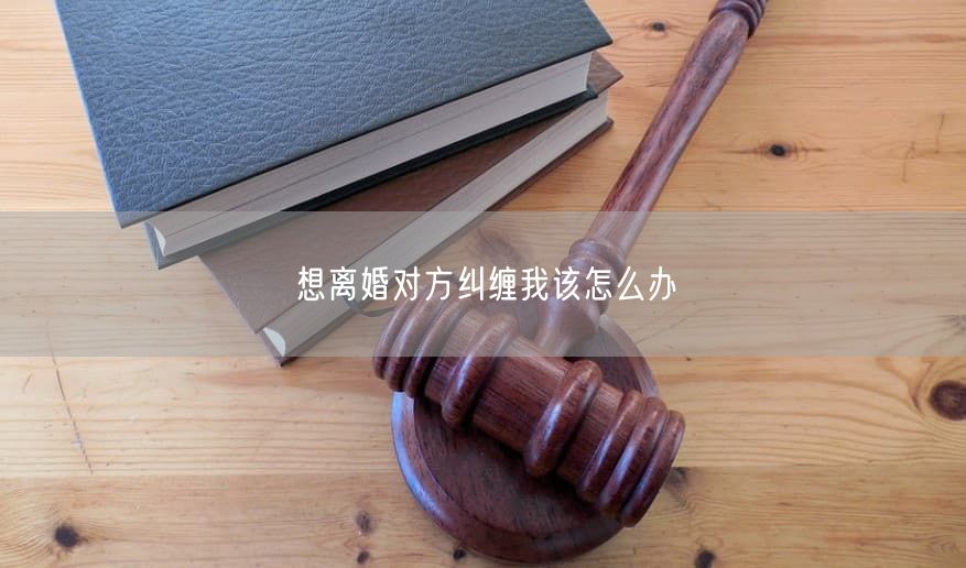 想离婚对方纠缠我该怎么办