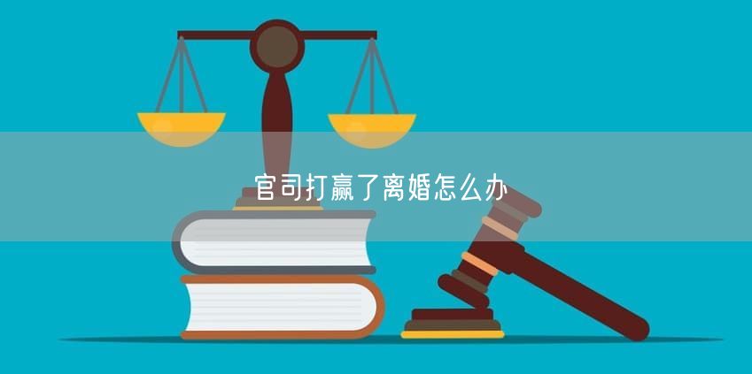 官司打赢了离婚怎么办