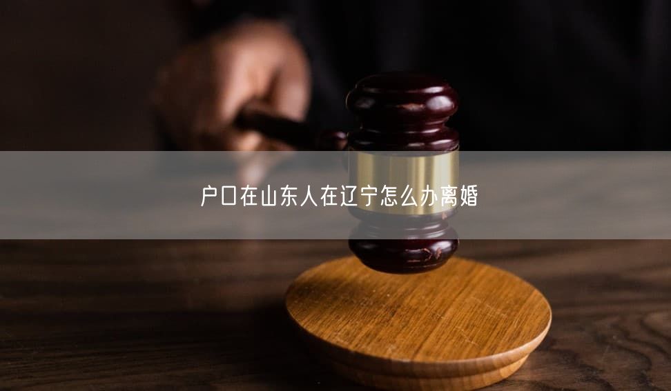 户口在山东人在辽宁怎么办离婚