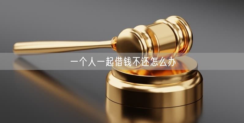 一个人一起借钱不还怎么办