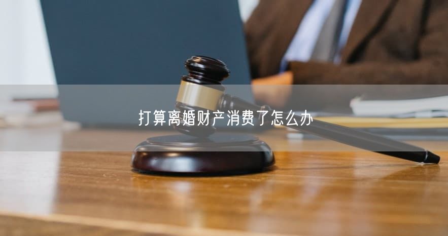 打算离婚财产消费了怎么办