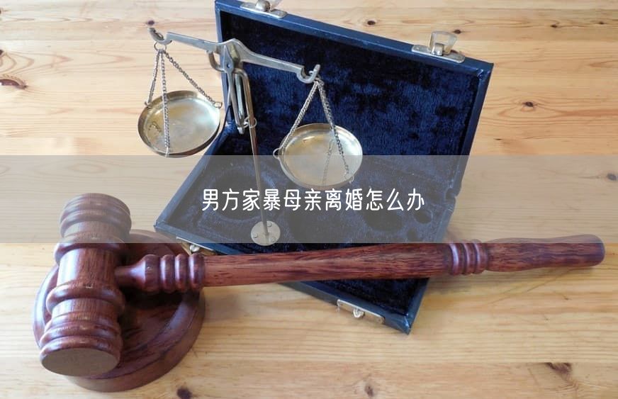 男方家暴母亲离婚怎么办