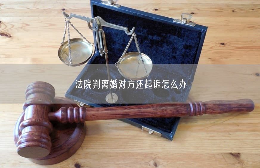 法院判离婚对方还起诉怎么办
