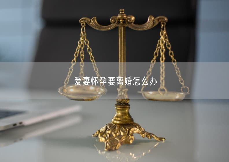 爱妻怀孕要离婚怎么办
